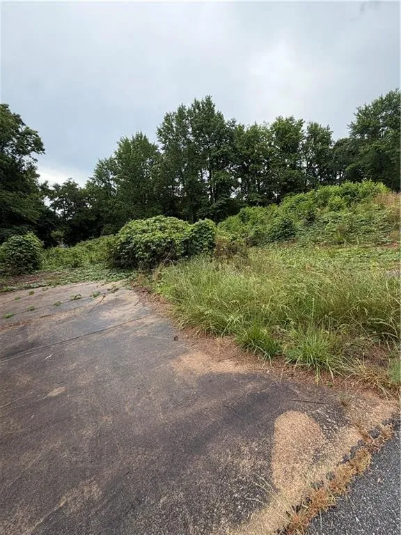2936 Bridge Drive Gainesville, GA 30506