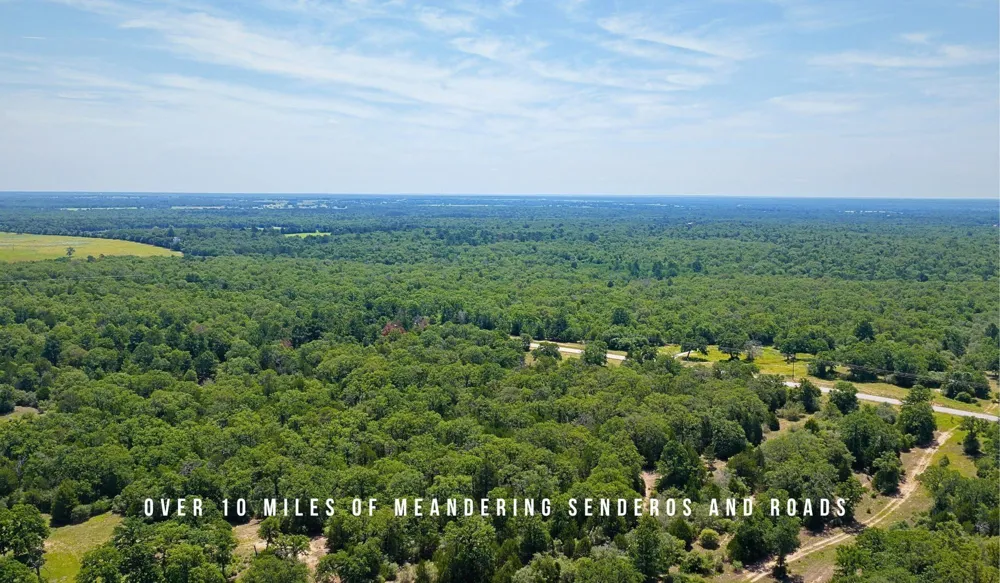 County Road 405 - 839 Acres Lexington, TX 78947