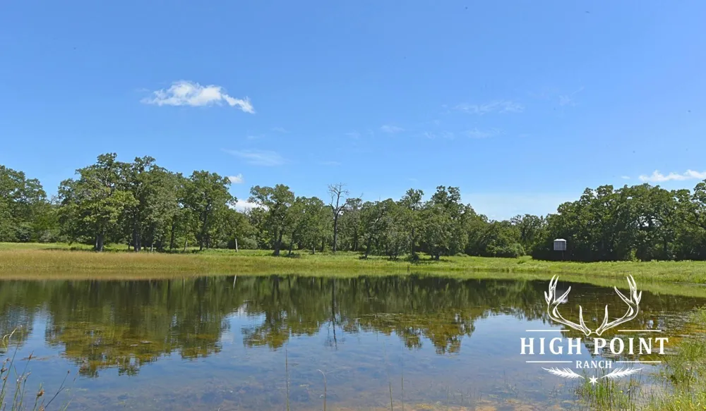 County Road 405 - 839 Acres Lexington, TX 78947