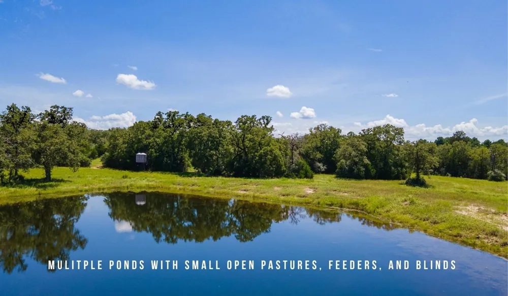County Road 405 - 839 Acres Lexington, TX 78947