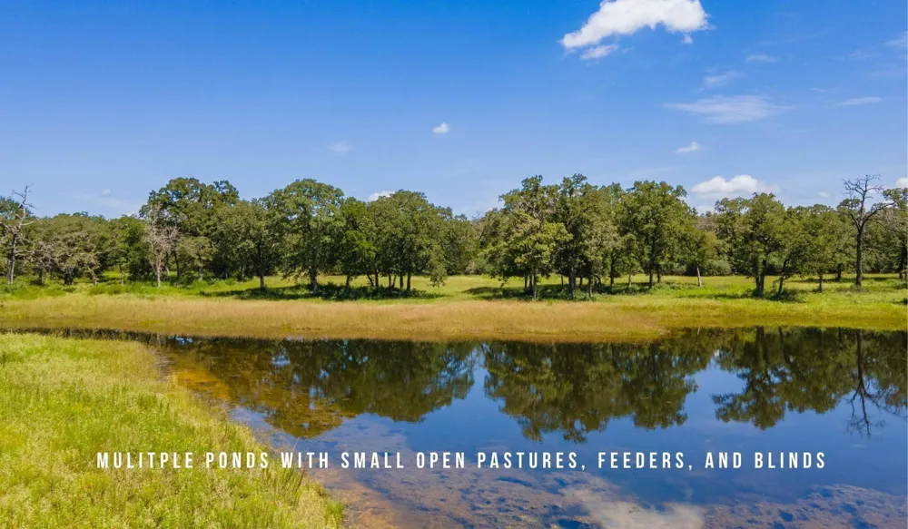 County Road 405 - 839 Acres Lexington, TX 78947