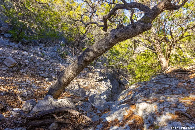1030 Owl Hollow Leakey, TX 78873