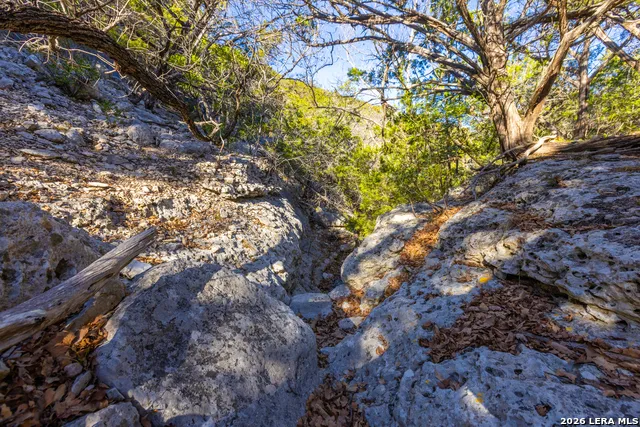 1030 Owl Hollow Leakey, TX 78873