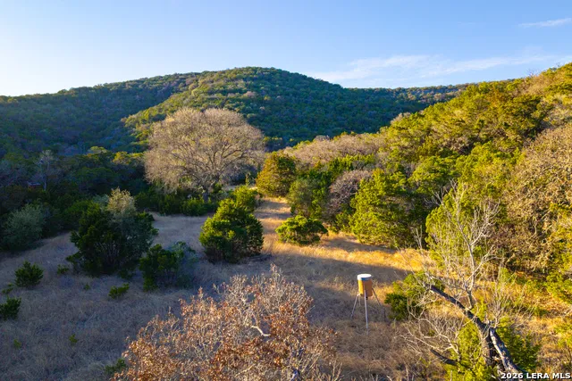 1030 Owl Hollow Leakey, TX 78873