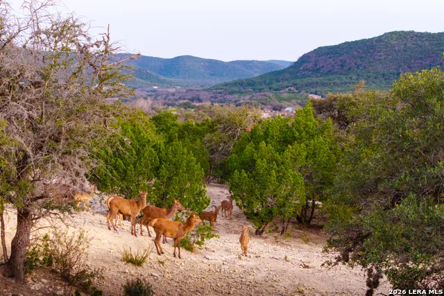 1030 Owl Hollow Leakey, TX 78873