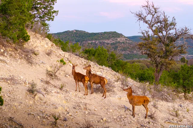 1030 Owl Hollow Leakey, TX 78873