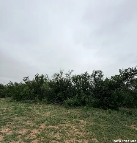 87 quinney Carrizo Springs, TX 78834
