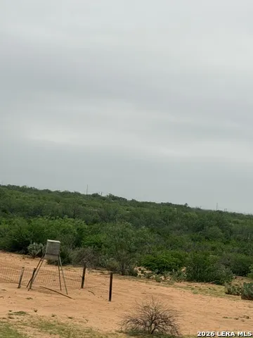 87 quinney Carrizo Springs, TX 78834
