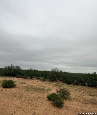 87 quinney Carrizo Springs, TX 78834