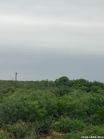 87 quinney Carrizo Springs, TX 78834
