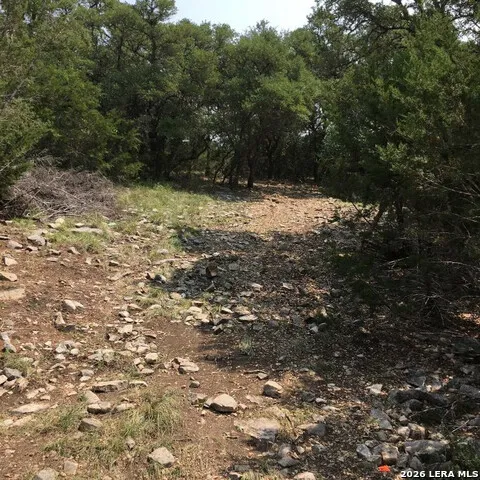 3738 DUDERSTADT RD Harper, TX 78631