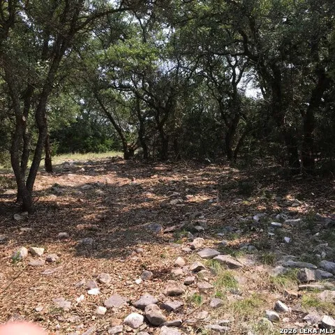 3738 DUDERSTADT RD Harper, TX 78631