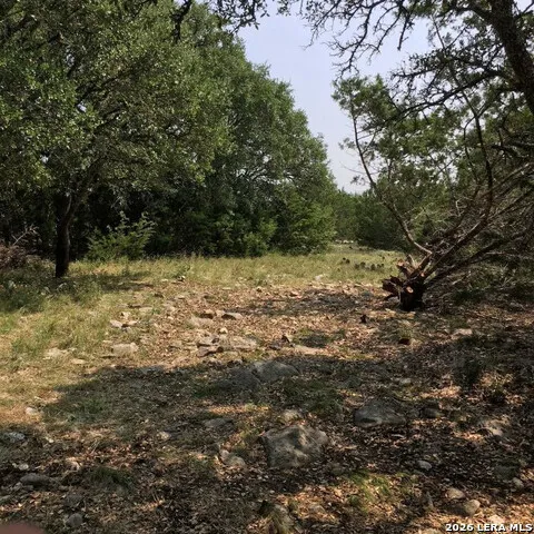 3738 DUDERSTADT RD Harper, TX 78631