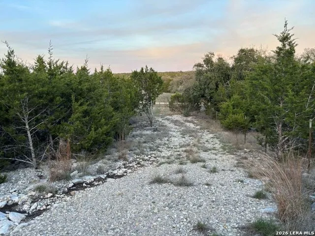 3738 DUDERSTADT RD Harper, TX 78631