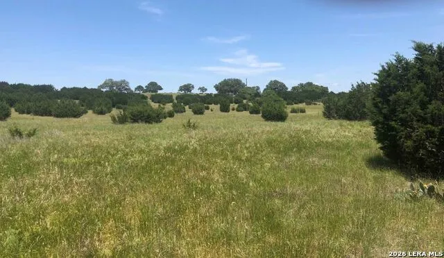 3738 DUDERSTADT RD Harper, TX 78631