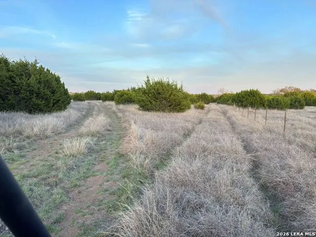 3738 DUDERSTADT RD Harper, TX 78631