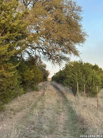 3738 DUDERSTADT RD Harper, TX 78631