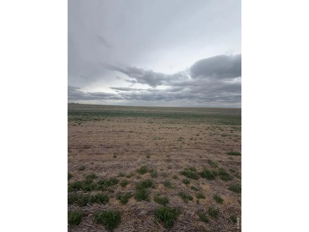 WCR 81 and Co Rd 8 Roggen, CO 80652