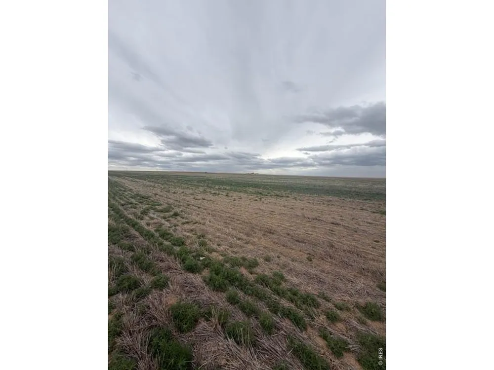 WCR 81 and Co Rd 8 Roggen, CO 80652