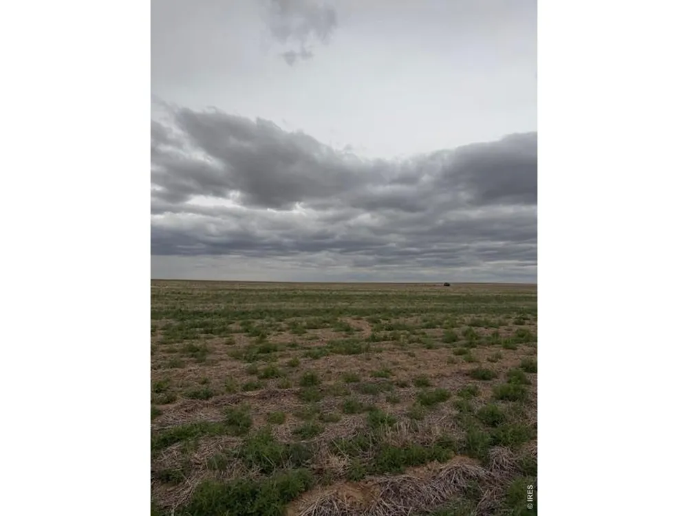 WCR 81 and Co Rd 8 Roggen, CO 80652
