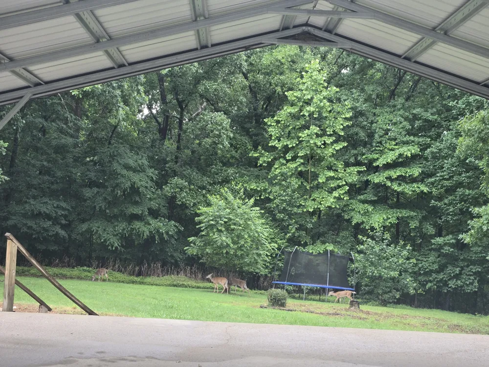 955 Dogwood Dr New Johnsonville, TN 37134