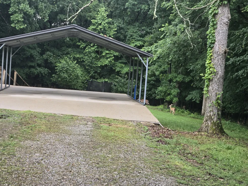 955 Dogwood Dr New Johnsonville, TN 37134