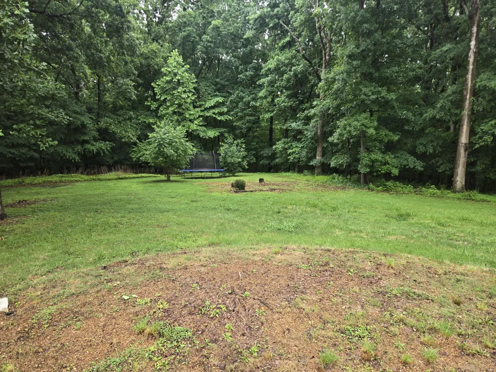 955 Dogwood Dr New Johnsonville, TN 37134