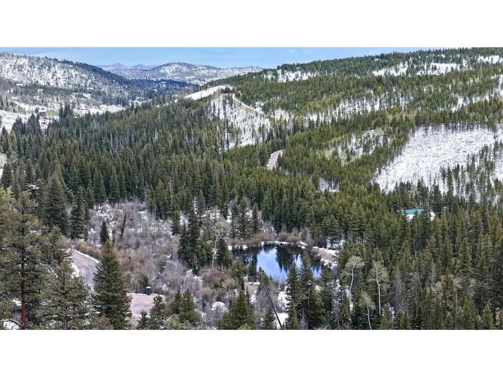 296 Elkridge Road Red Feather Lakes, CO 80545