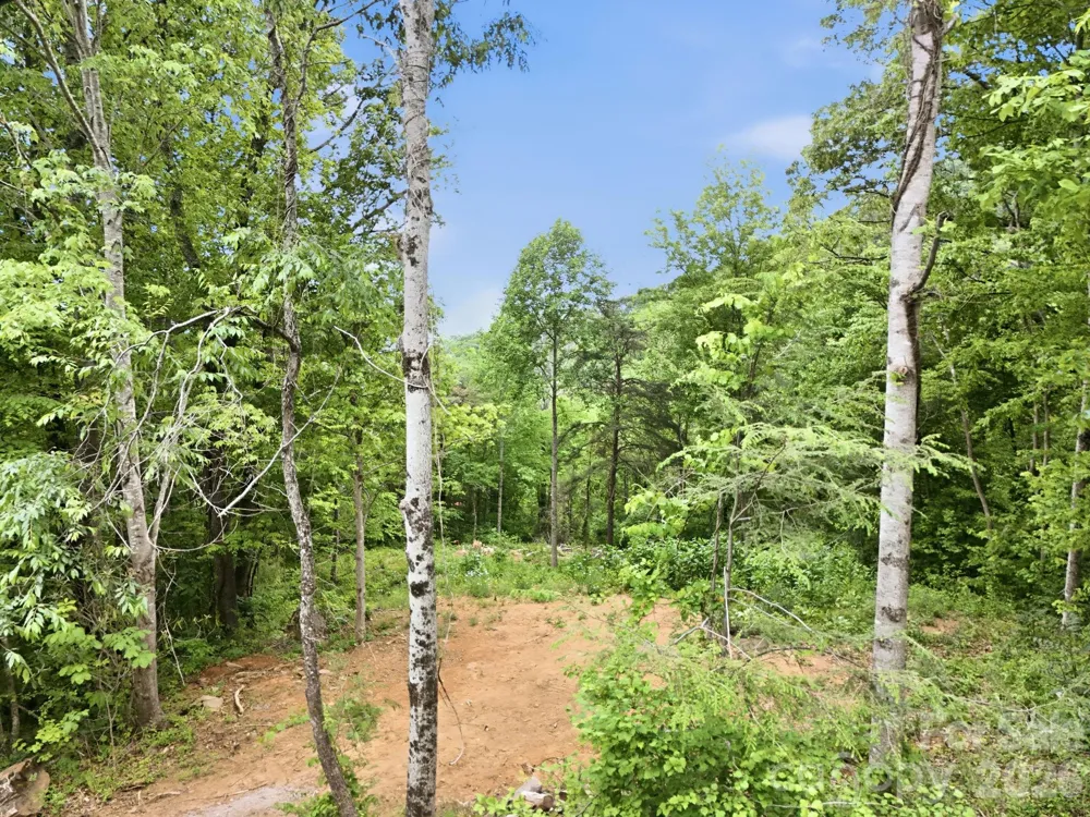 00 Cobblestone Drive #34 Waynesville, NC 28786