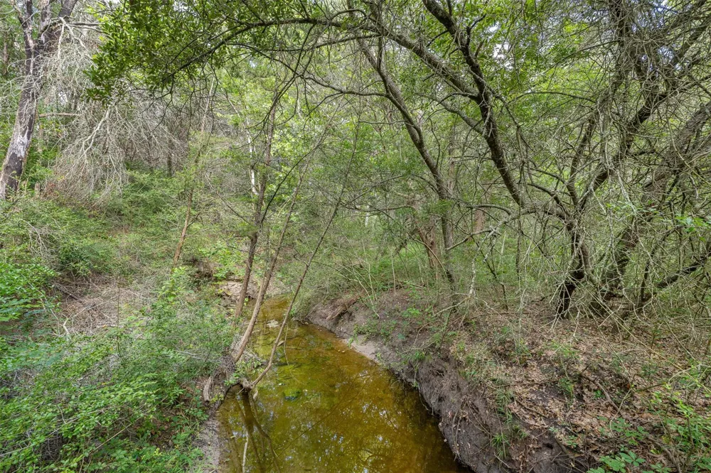 10900 Mayer Cemetery Road Burton, TX 77835