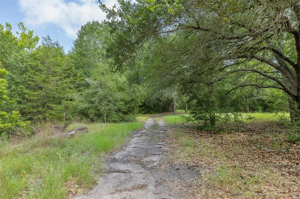 10900 Mayer Cemetery Road Burton, TX 77835