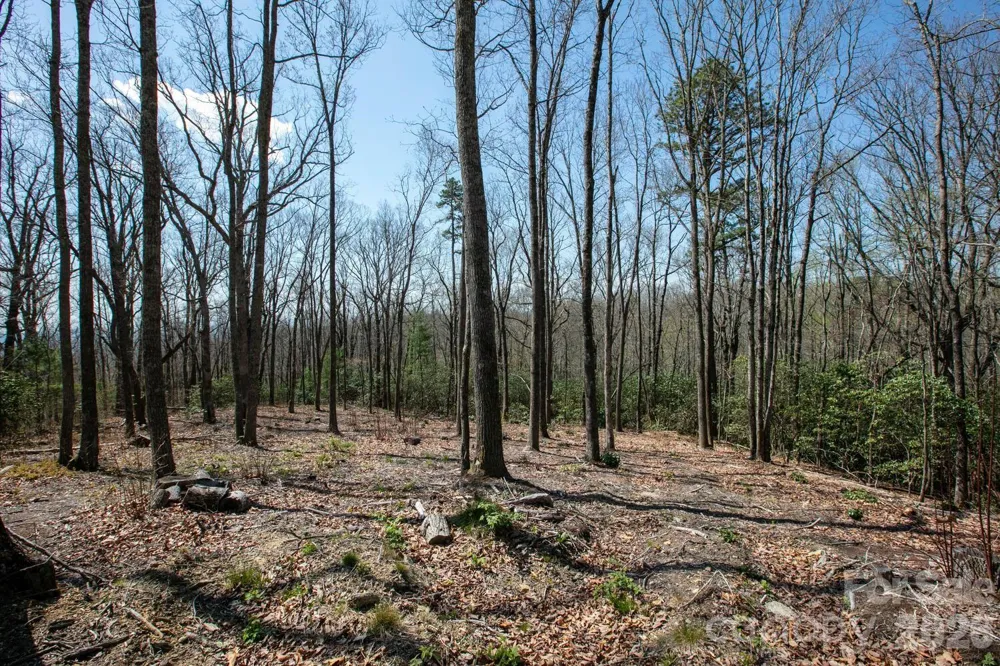148 Spring Song Lane #6 Fletcher, NC 28732