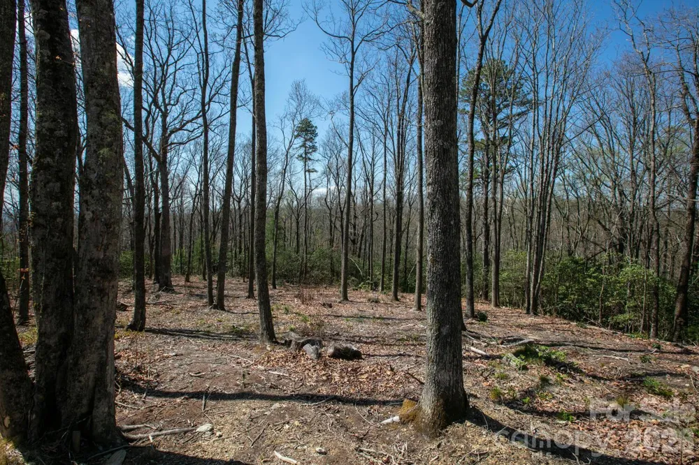 148 Spring Song Lane #6 Fletcher, NC 28732