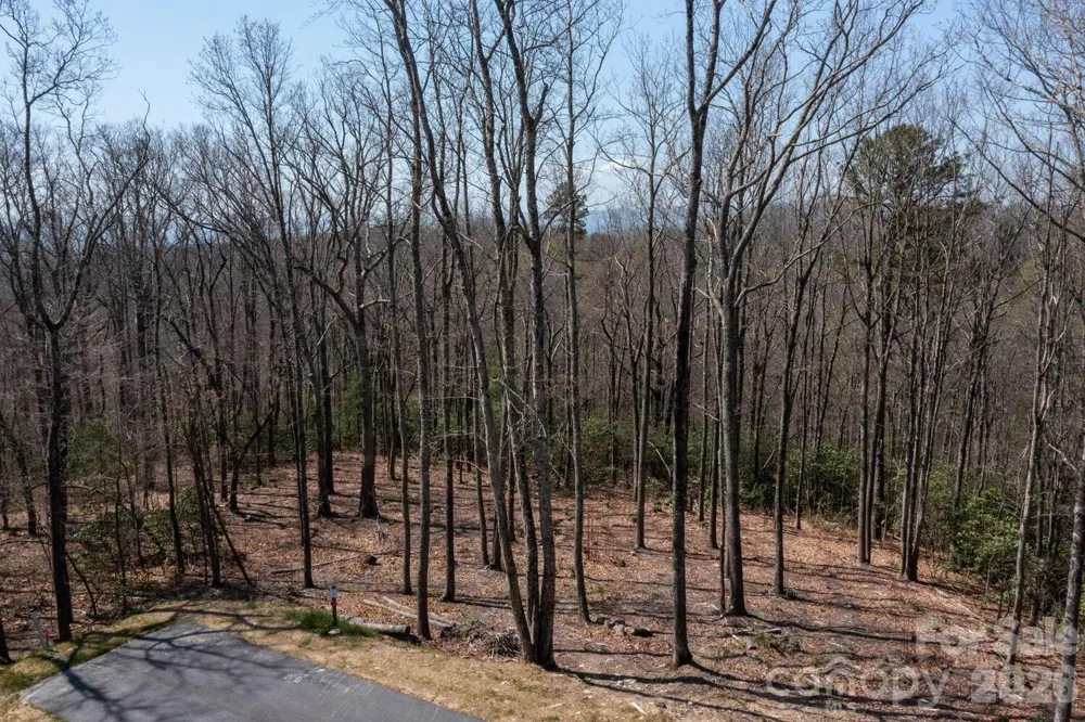 148 Spring Song Lane #6 Fletcher, NC 28732