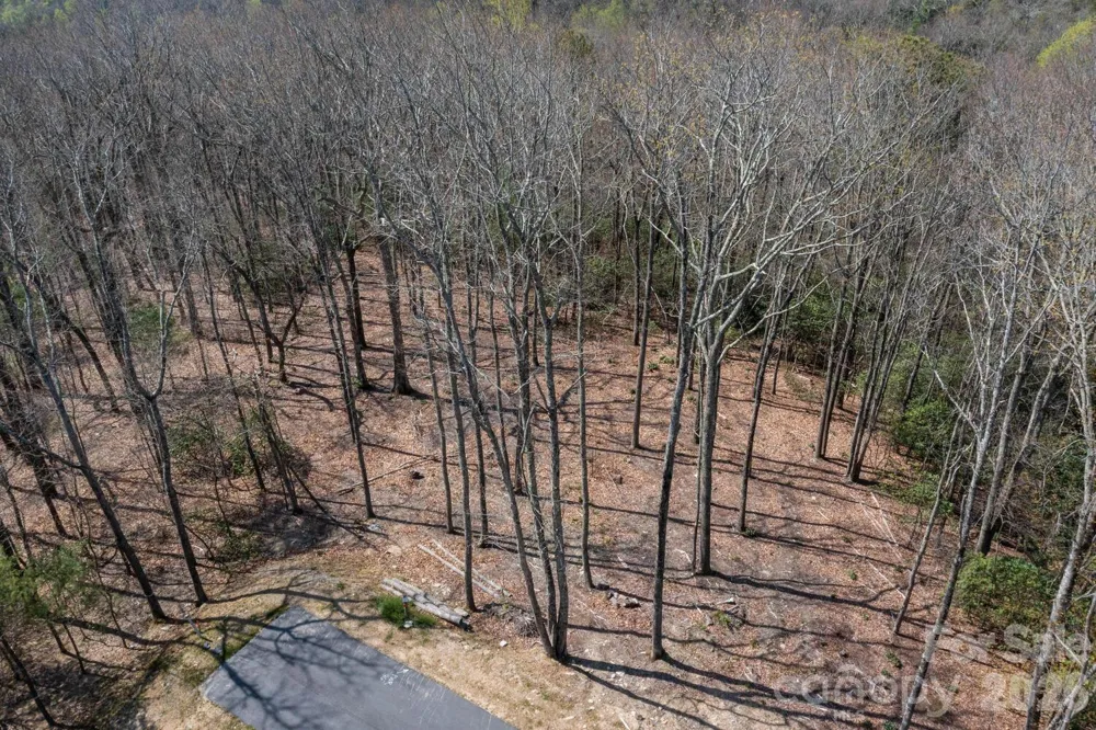 148 Spring Song Lane #6 Fletcher, NC 28732