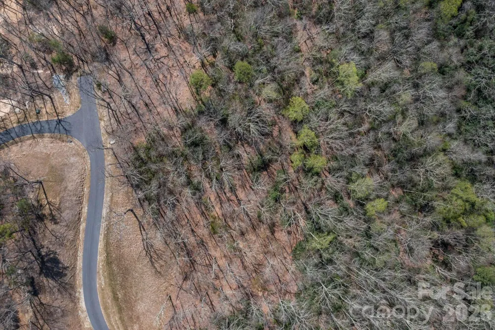 148 Spring Song Lane #6 Fletcher, NC 28732
