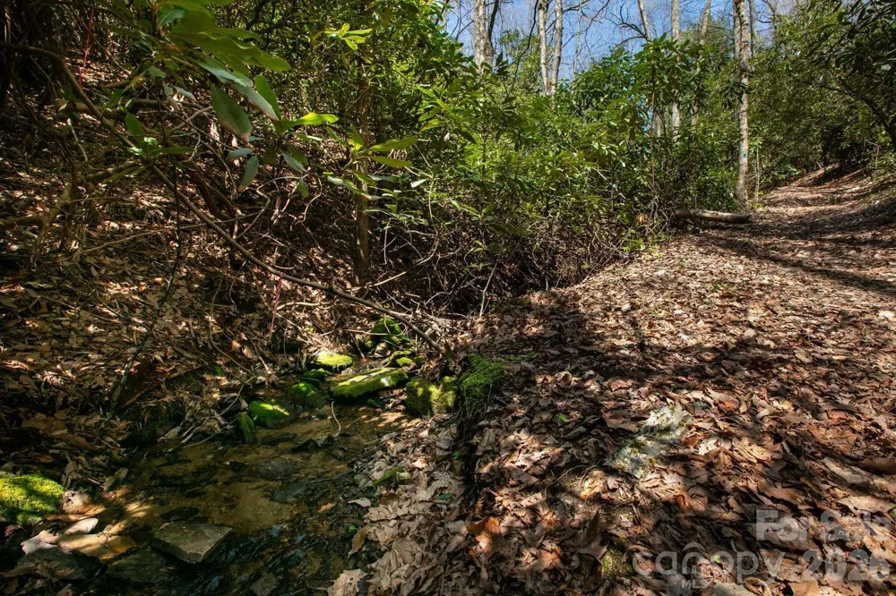 148 Spring Song Lane #6 Fletcher, NC 28732