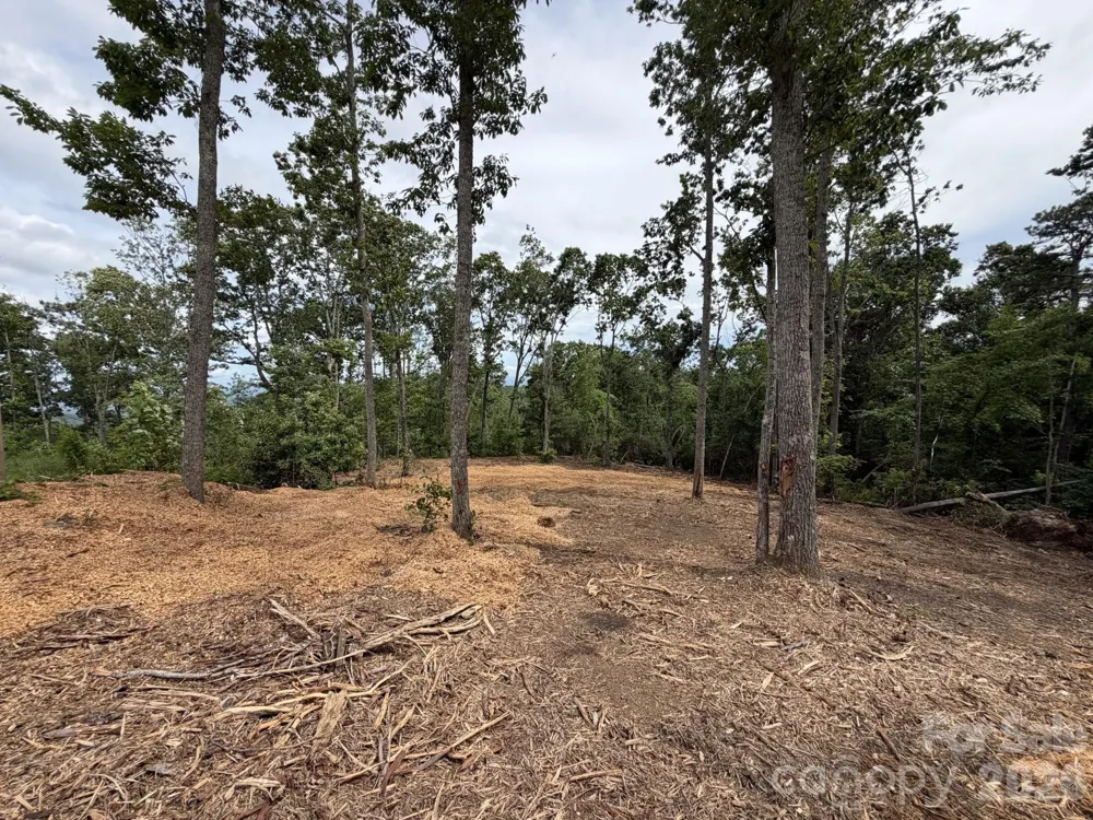 148 Spring Song Lane #6 Fletcher, NC 28732