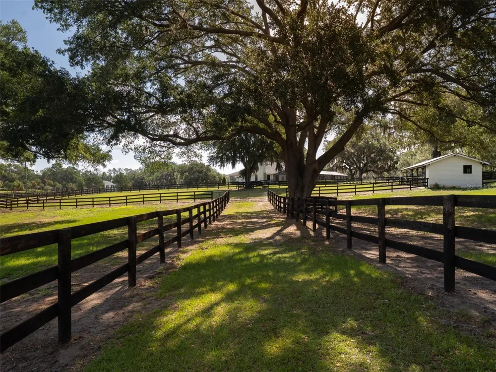 10250 NW 76TH TERRACE ocala, FL 34482