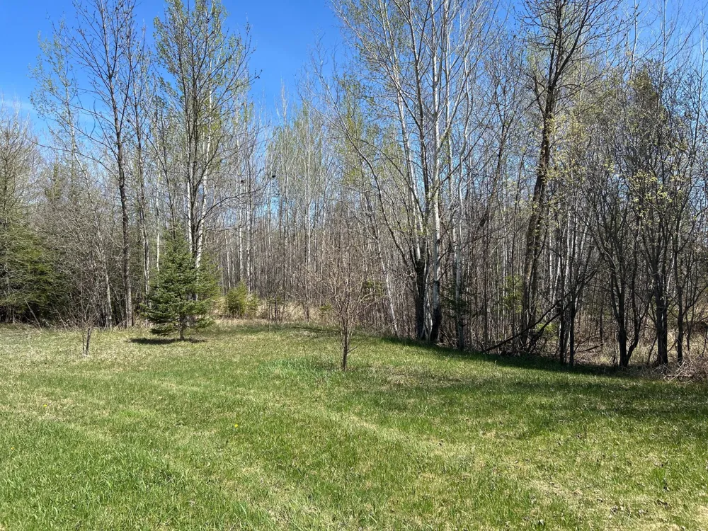 6972 16th Street NW Williams, MN 56686