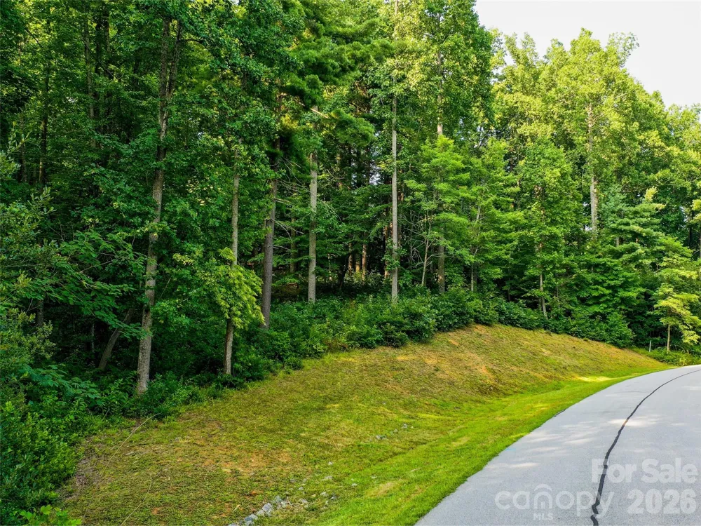 Lot 32 Freedom Trail Court #32 Zirconia, NC 28790