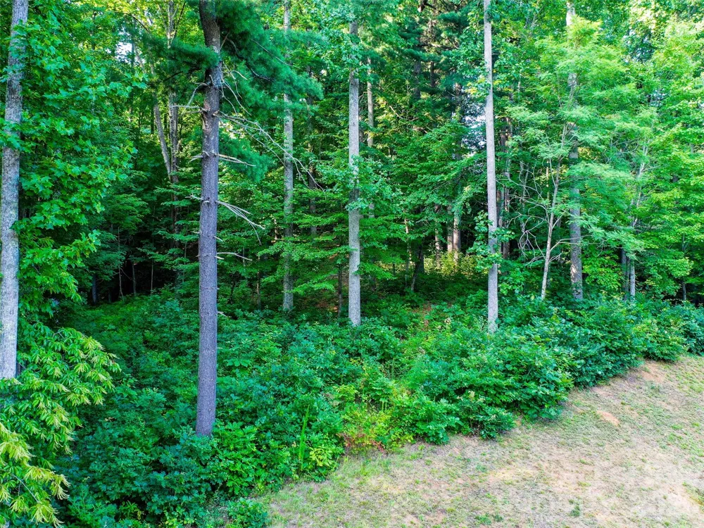 Lot 32 Freedom Trail Court #32 Zirconia, NC 28790