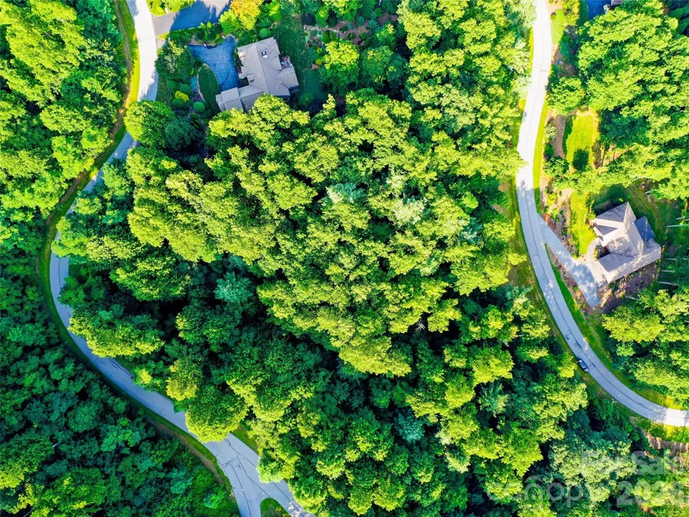 Lot 32 Freedom Trail Court #32 Zirconia, NC 28790