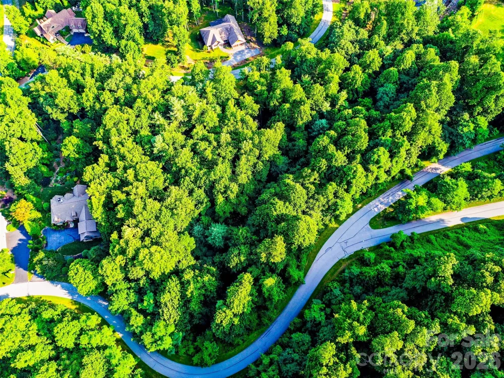 Lot 32 Freedom Trail Court #32 Zirconia, NC 28790