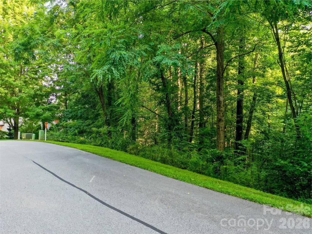 Lot 32 Freedom Trail Court #32 Zirconia, NC 28790