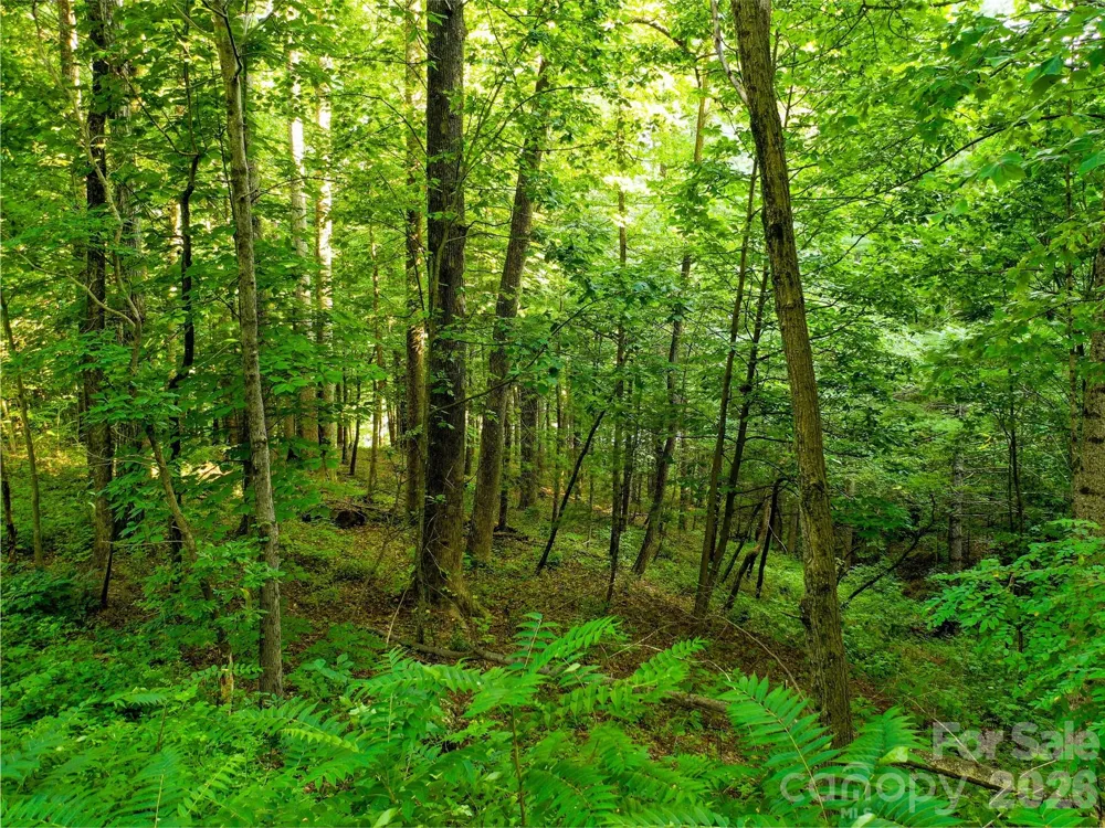 Lot 32 Freedom Trail Court #32 Zirconia, NC 28790