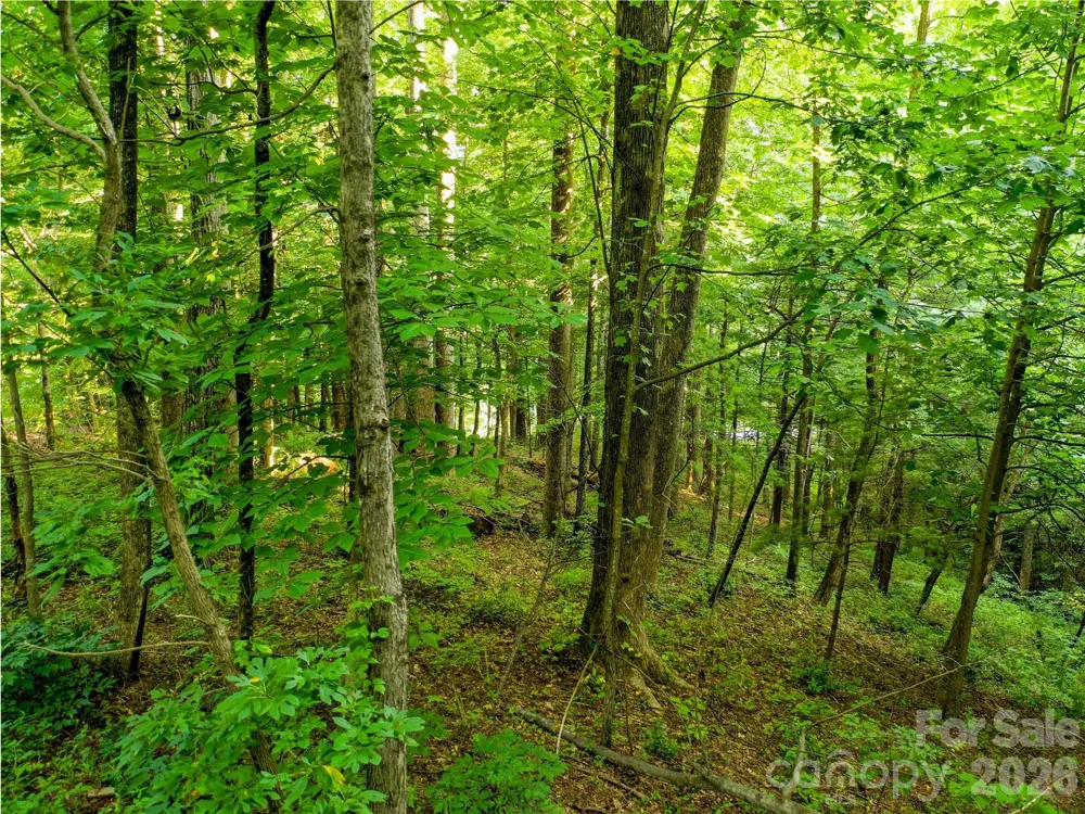 Lot 32 Freedom Trail Court #32 Zirconia, NC 28790