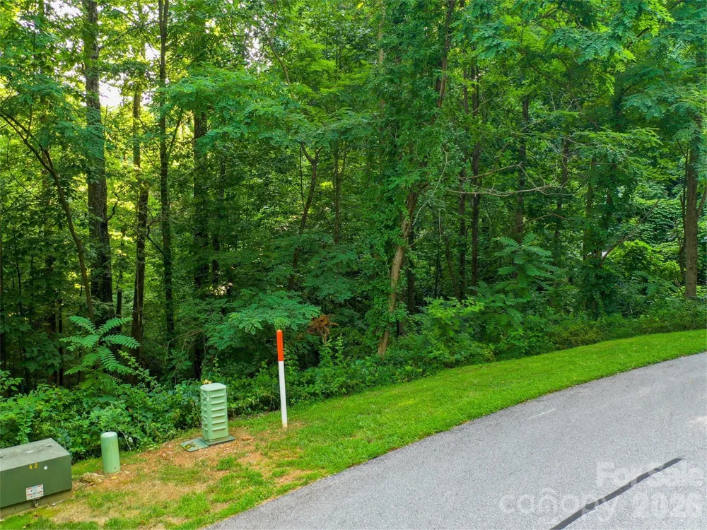 Lot 32 Freedom Trail Court #32 Zirconia, NC 28790