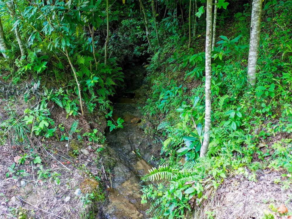 Lot 32 Freedom Trail Court #32 Zirconia, NC 28790