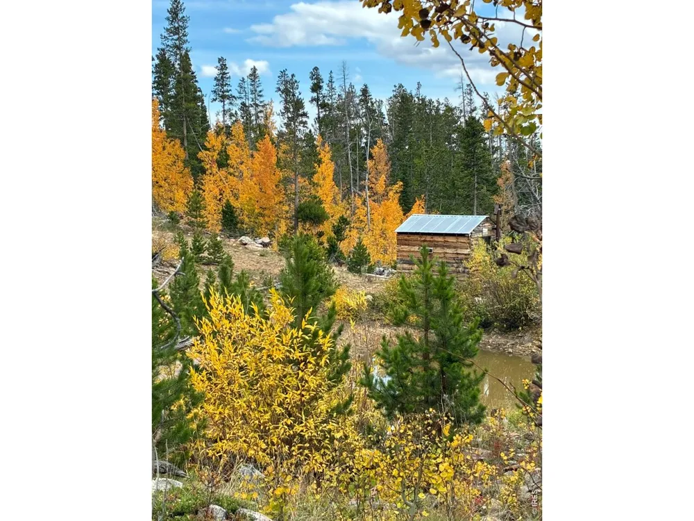 540 Elkridge Road Red Feather Lakes, CO 80545